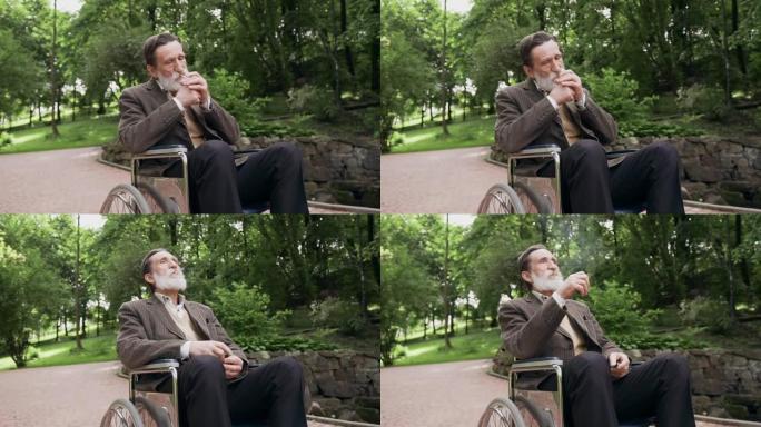 坐在轮椅上的英俊受人尊敬的大胡子男人的特写镜头，白天在绿色公园散步时吸烟
