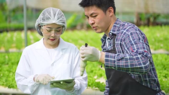 亚洲女性科学家和亚洲男性农民共同努力，在温室实验中检查水培植物中的有机蔬菜实验结果。