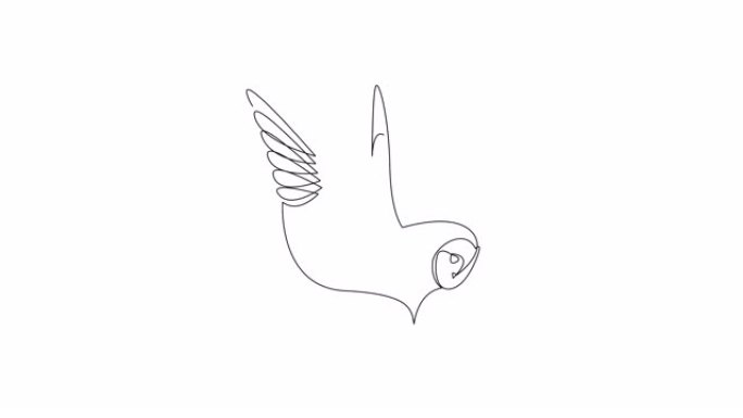 自绘猫头鹰单连续单线绘制的简单动画。手工绘制，白底黑线。智慧和知识的象征。阿尔法通道。