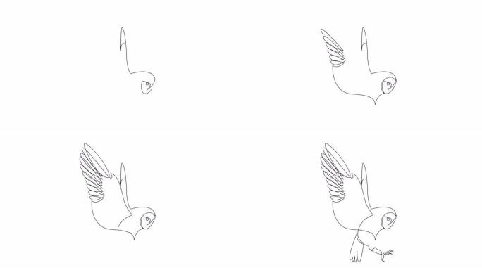 自绘猫头鹰单连续单线绘制的简单动画。手工绘制，白底黑线。智慧和知识的象征。阿尔法通道。