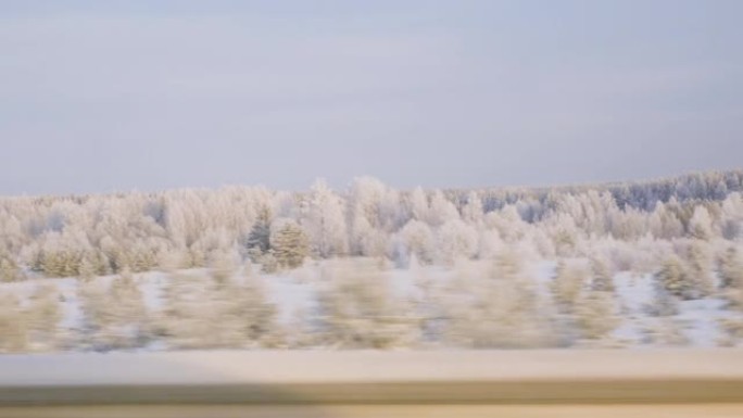 车窗上令人惊叹的冬季景观。侧视图。刚下的雪和霜。地平线
