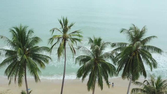 椰子树和蓝色绿松石海洋的鸟瞰图无人机拍摄