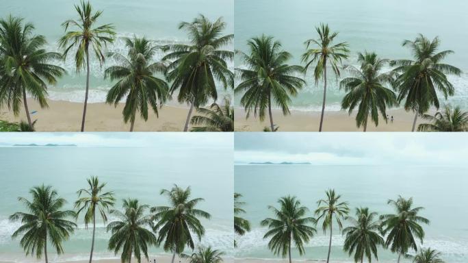 椰子树和蓝色绿松石海洋的鸟瞰图无人机拍摄