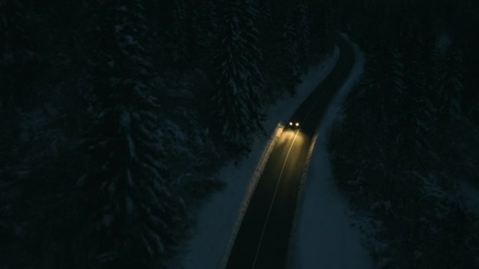 汽车在白雪皑皑的森林附近行驶