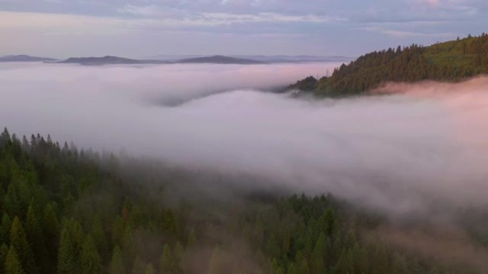无人机飞过覆盖山谷的浓雾。