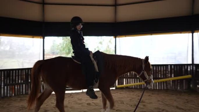 女教练带着一个十几岁的男孩带领一匹马