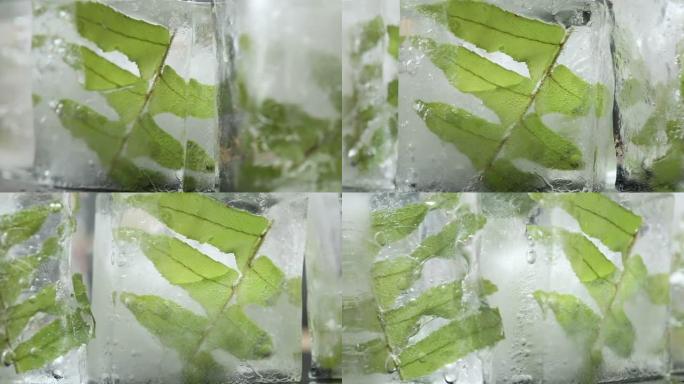 选择性聚焦，天然水晶透明融化的冰块和新鲜的绿色蕨叶背景。