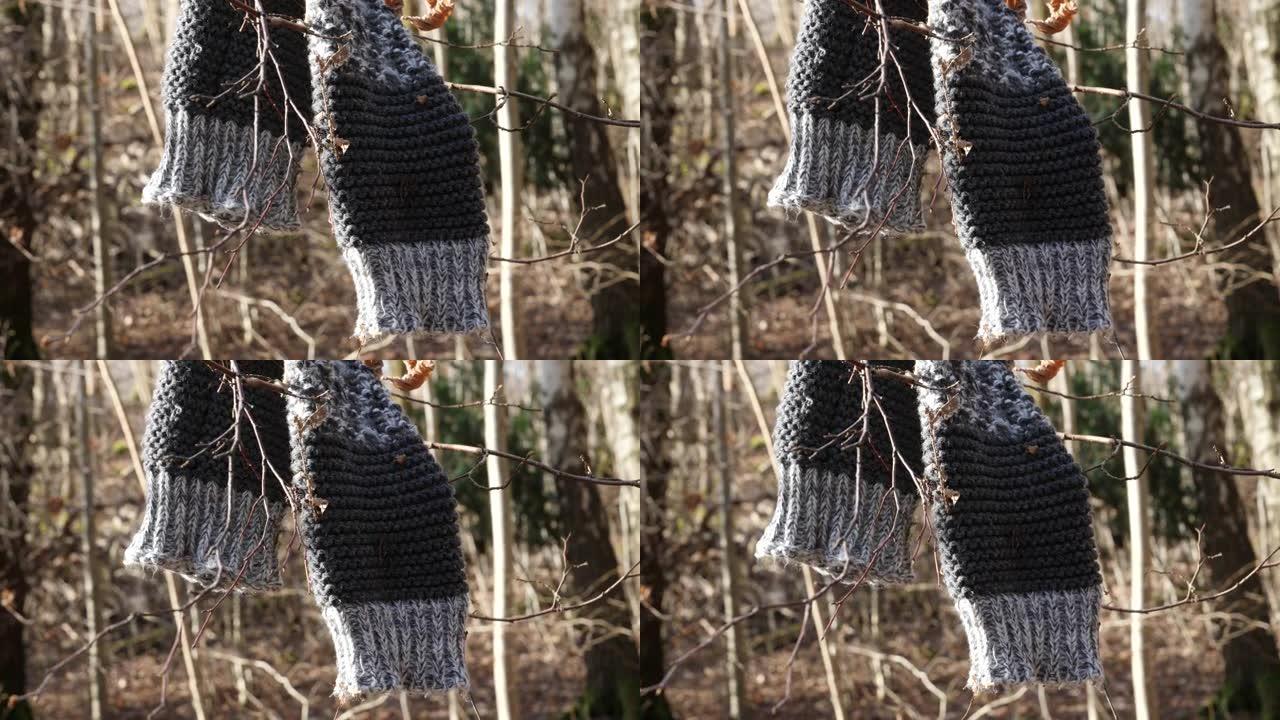 被遗忘的冬天围巾挂在树上，冬天到春天过渡，特写