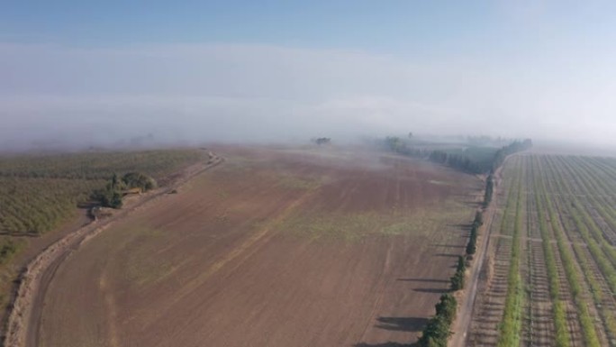 Megido日出时以色列农业场的鸟瞰图