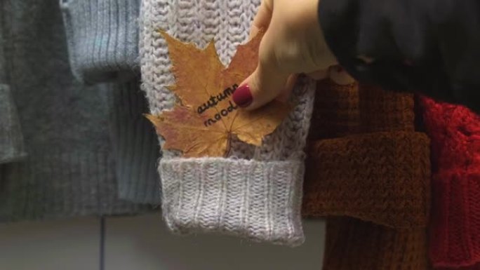 秋季概念。女性手将枫叶与文本秋天的心情放在舒适的保暖毛衣上。针织羊毛和马海毛毛衣。Hygge风格