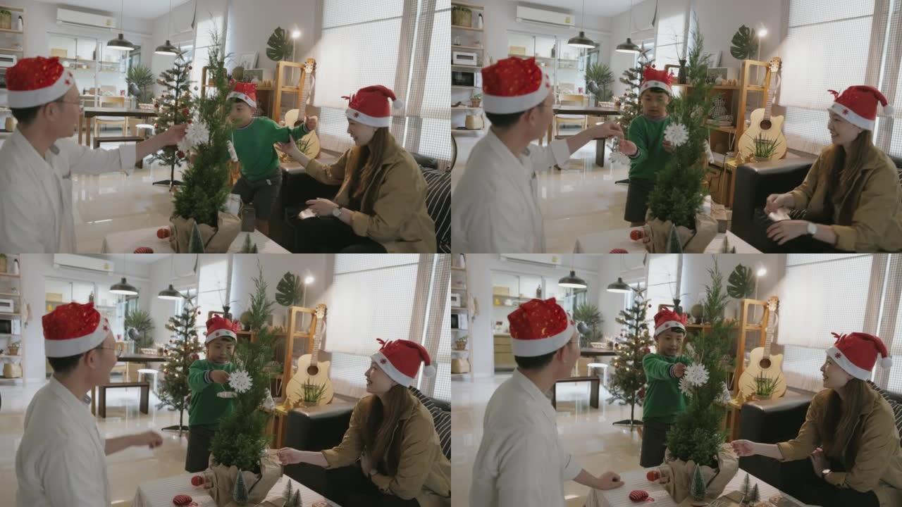 男孩对真正的圣诞树感兴趣，送给祖父母的礼物。