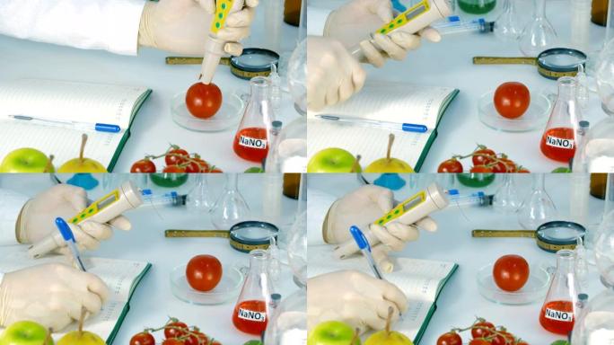 食品安全实验室，科学家概念。检查员从商店中提取用于分析的西红柿中提取硝酸盐样品。