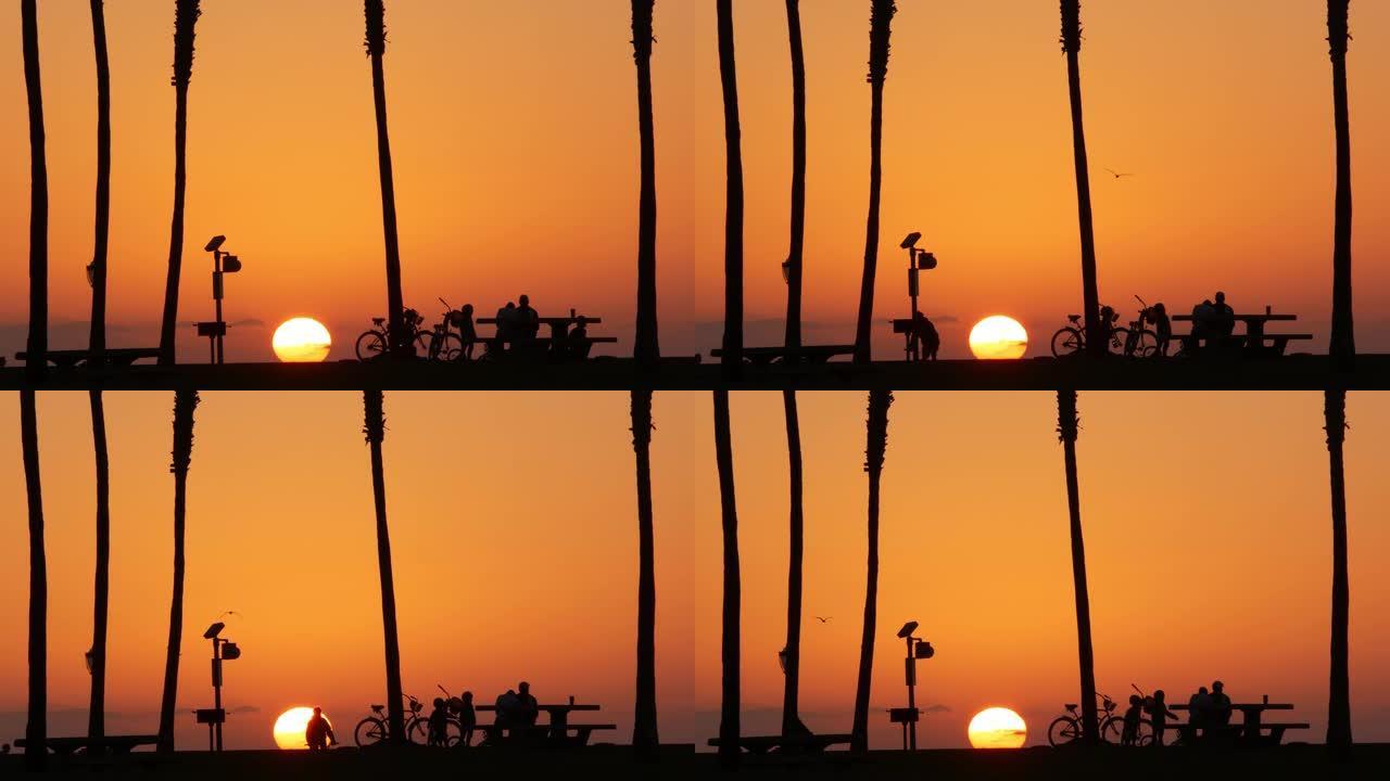 日落时，人们和棕榈树在海滩上的剪影，加利福尼亚海岸，美国。