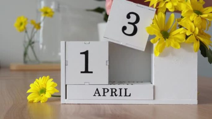 春季月份4月13日。女人的手翻过一个立方历法。黄色花朵旁边的桌子上的白色万年历。在一个月内更改日期。