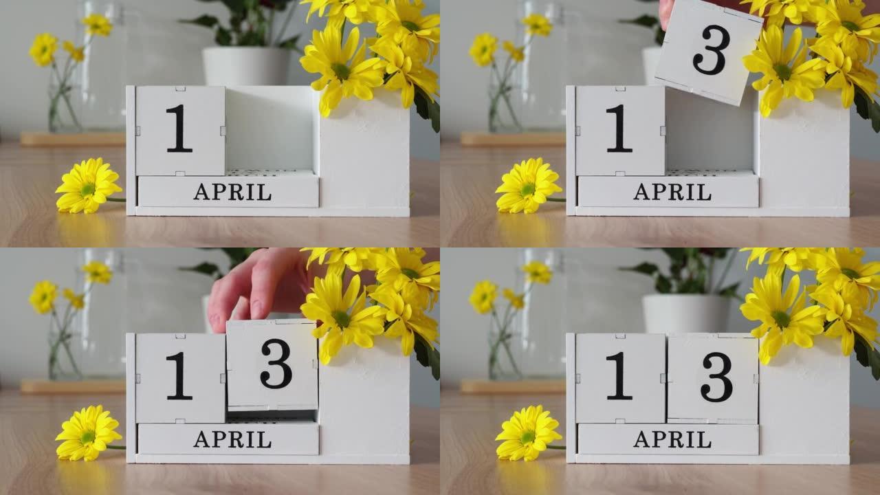 春季月份4月13日。女人的手翻过一个立方历法。黄色花朵旁边的桌子上的白色万年历。在一个月内更改日期。
