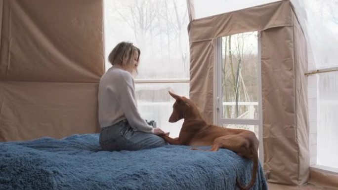 穿着暖和衣服的女人和狗坐在窗户对面的床上。友好的宠物。豪华小屋。