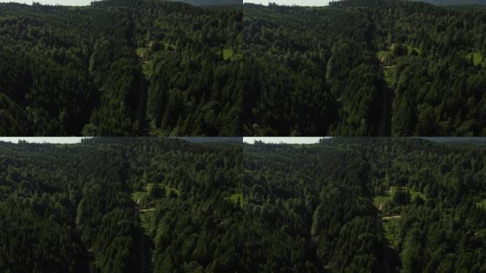 夏季山区日无人机镜头中绿色茂密森林的惊人鸟瞰图