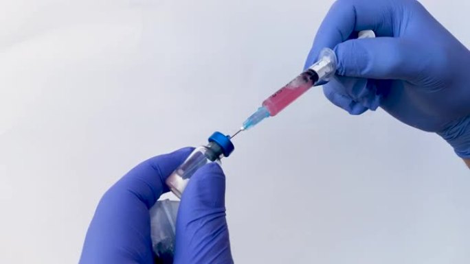 人或宠物的疫苗接种。戴着防护手套的医生正在将疫苗输入注射器。特写。病毒学科学家。预防和治疗流感，病毒