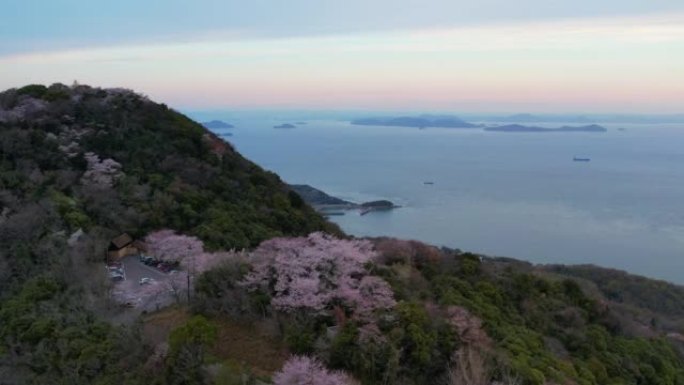 香川县三洋市的盐得山的樱花和濑户内海