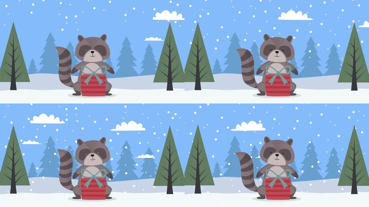 圣诞快乐动画与浣熊和礼物