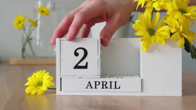 春季月份4月20日。女人的手翻过一个立方历法。黄色花朵旁边的桌子上的白色万年历。在一个月内更改日期。