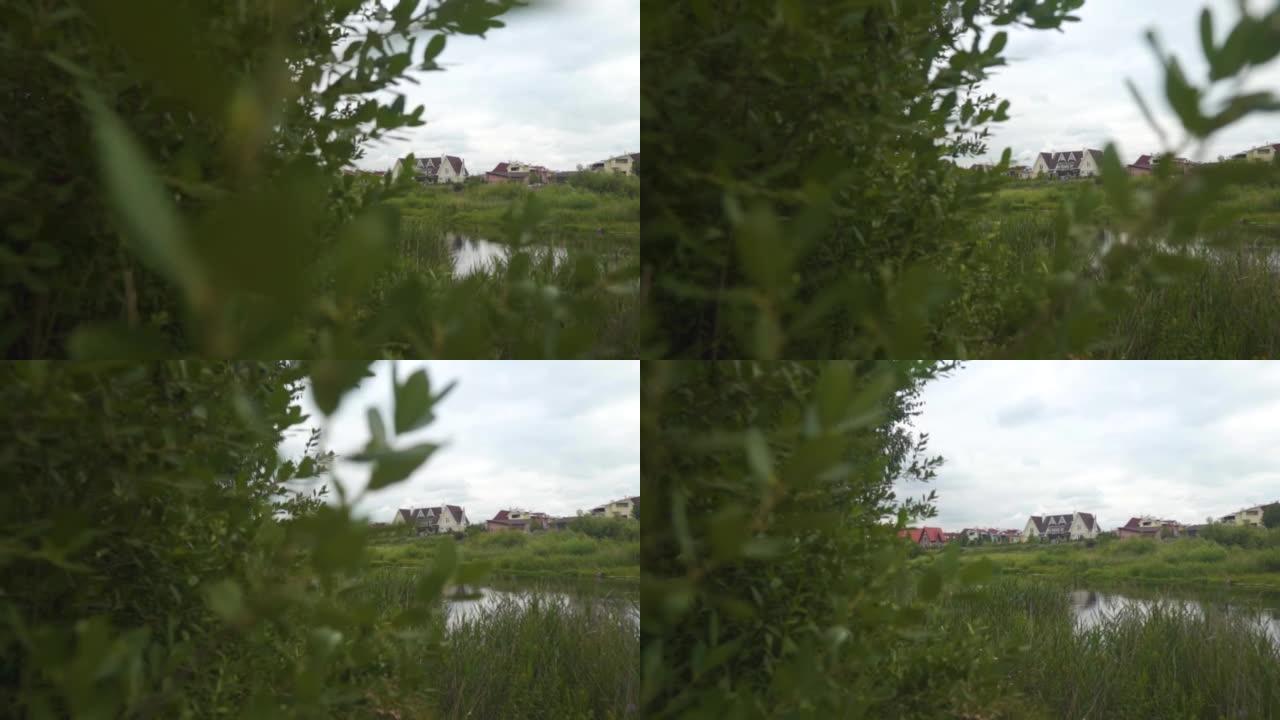 从河边看住宅微区。河和绿草，灌木丛，水面，芦苇，并在房子的对岸。