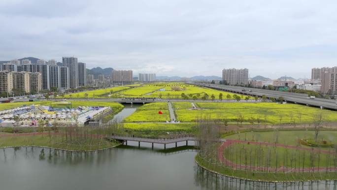 城中菜花地