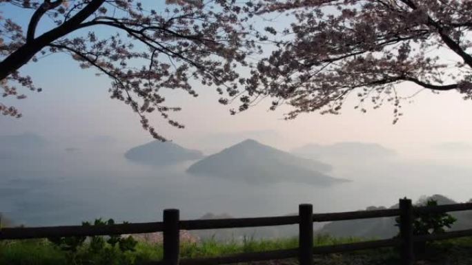 香川县三洋市的盐得山的樱花和濑户内海