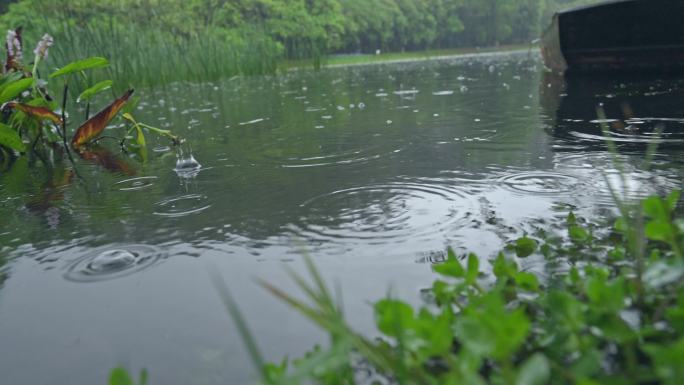 4K实拍，春雨中公园里湖中的小船。