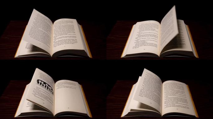 用定格技术拍摄书籍。