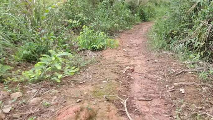 小路幽静上山小路泥泞路泥泞小路 乡村小路