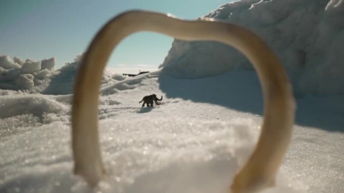 寒冷的白雪皑皑的长毛象。白雪皑皑的风景和猛犸象。猛mm象站在永久冻土中