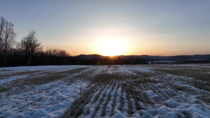 早春冰消雪融的垦区农田