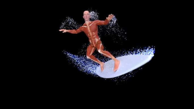 4K 3D解剖学人冲浪