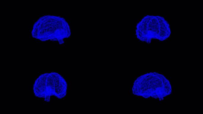 大脑的3d全息模型在空的黑色背景上旋转以进行叠加。医学和技术概念。