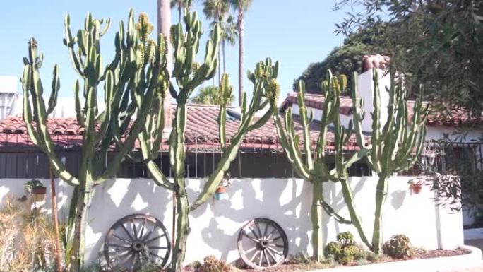 墨西哥乡村家园花园。肉质仙人掌植物，白墙，加利福尼亚。
