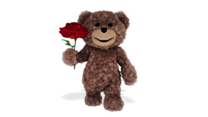 泰迪熊显示玫瑰环状白色背景
