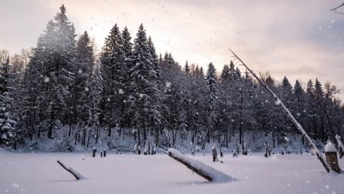 美丽的冬季风景，相机向湖边左移。美丽的降雪