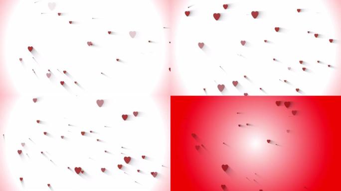 可循环的动画慢慢地红色的心随机出现，并在白色和红色背景上刻有情人节字样。情人节背景。