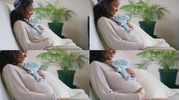 一名孕妇手持蓝色毛绒动物的4k录像