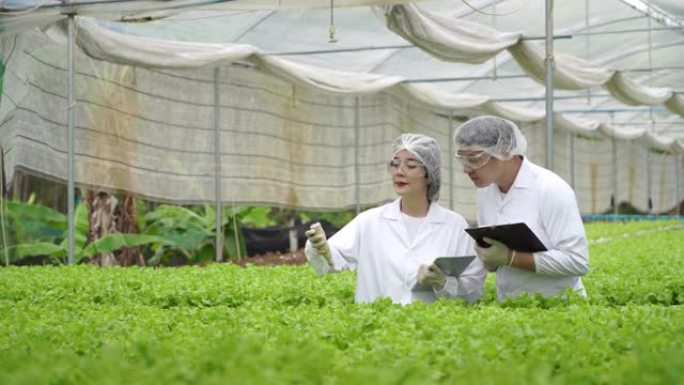 亚洲科学家共同使用设备和数字平板电脑，在温室实验中检查水培植物中有机蔬菜实验的质量和数量结果。