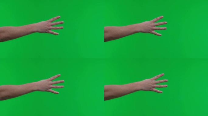 女性手在孤立的绿色背景上展示四个手指