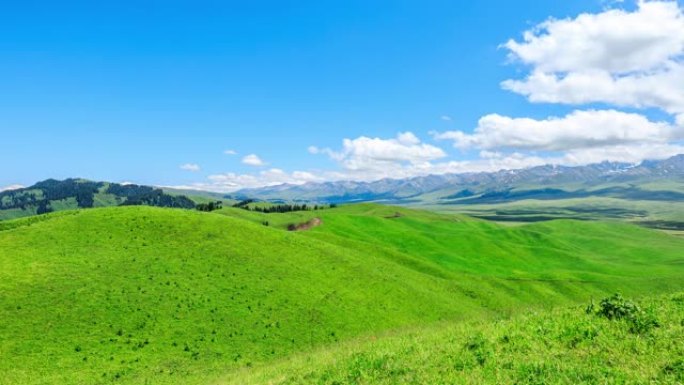 新疆绿草如山自然风光