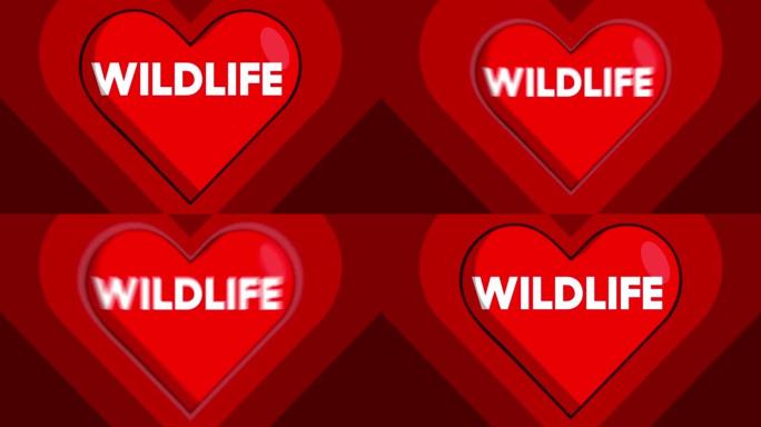 心形带有野生动物文字，红色跳动的爱情符号。
