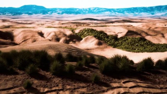 中亚沙漠中美丽的黄橙沙丘