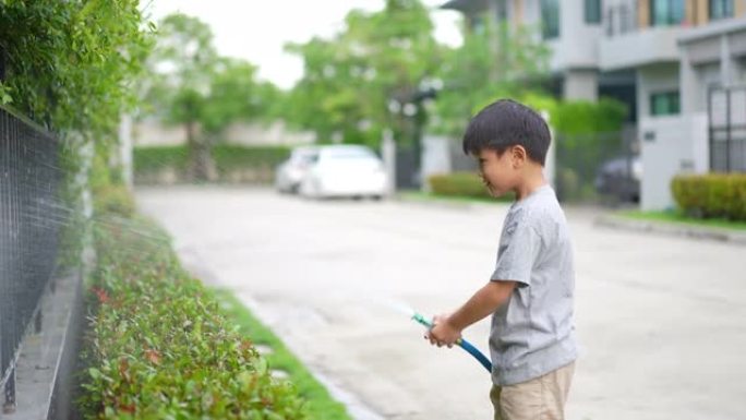 家里的孩子水树。生态环境的概念