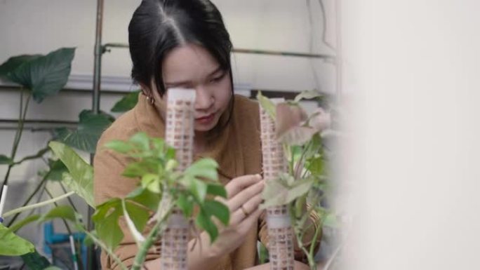 时髦的亚洲女人照顾她的室内植物花园。