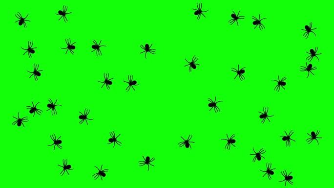 蜘蛛群，绿屏上的CG动画剪影，无缝循环