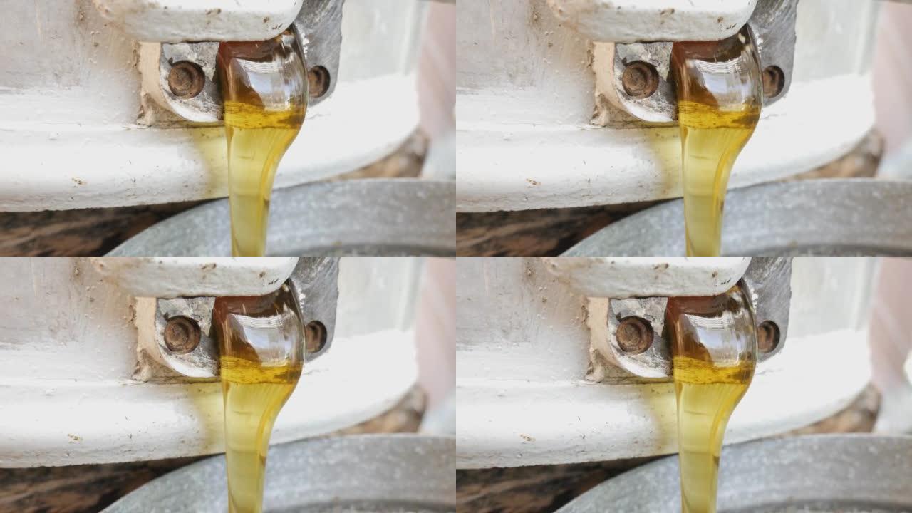 蜂蜜提取器的蜂蜜通过筛子过滤。蜂蜜从桶里倒入漏勺