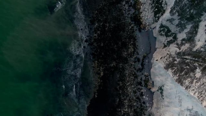 多佛的白色悬崖。七姐妹国家公园，东苏塞克斯，英格兰南部海岸。